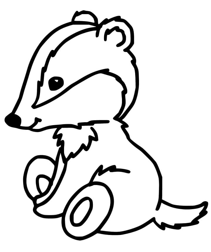 Cute Badger Coloring Game Cute Badger