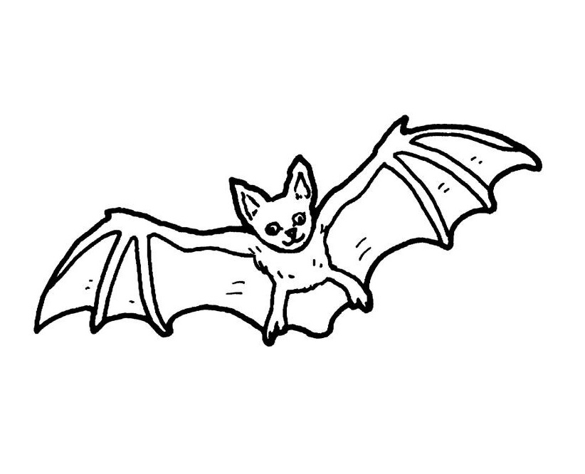 Cute Bat Coloring Game Cute Bat