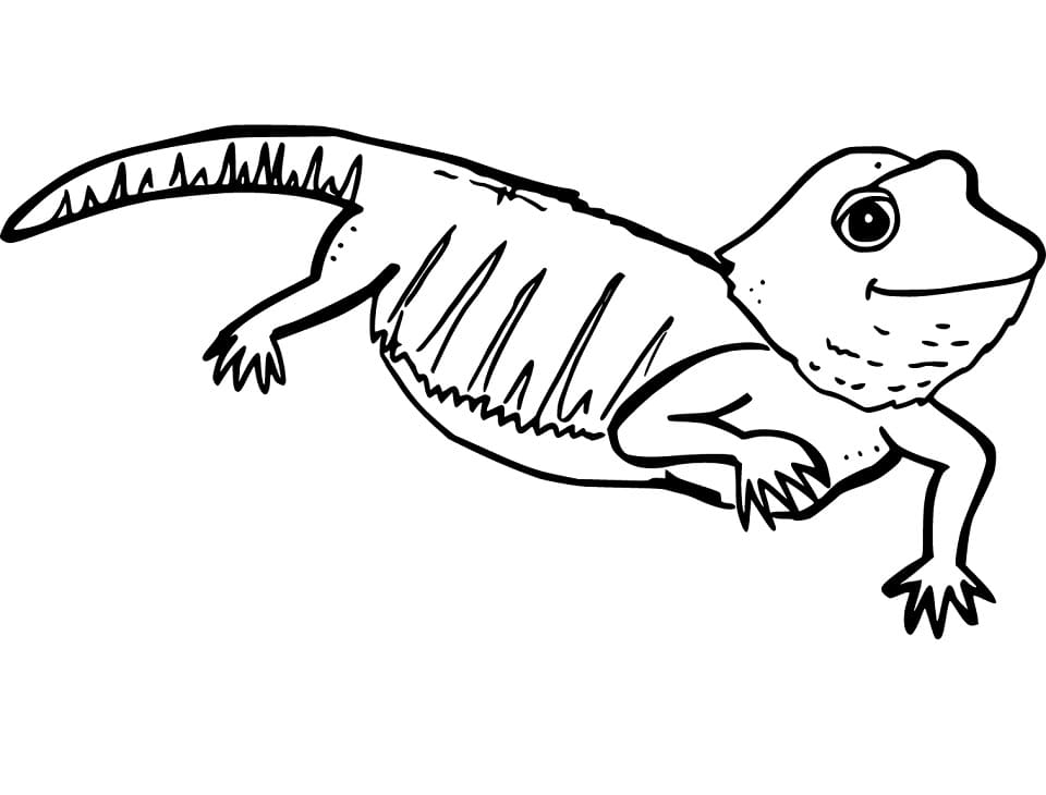 Cute Bearded Dragon Coloring Game Cute Bearded Dragon