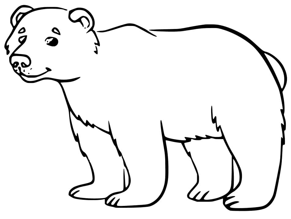 Cute Black Bear Coloring Game Cute Black Bear