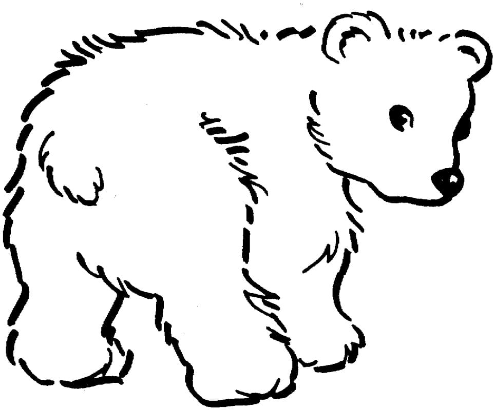 Cute Brown Bear Coloring Game Cute Brown Bear
