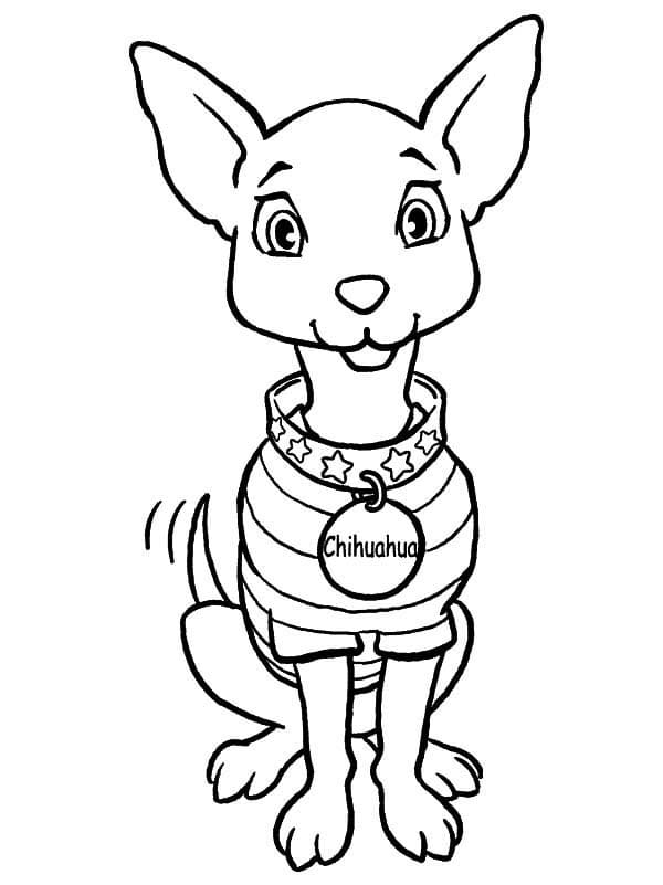 Cute Chihuahua Dog Coloring Game Cute Chihuahua Dog