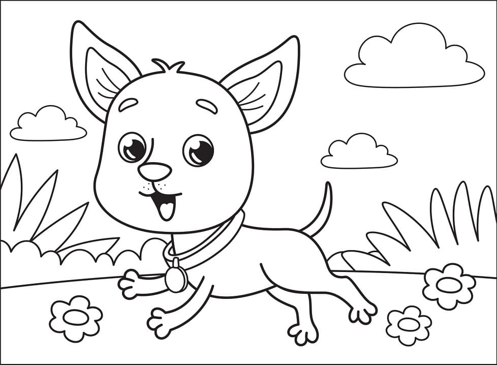 Cute Chihuahua Running Coloring Game Cute Chihuahua Running