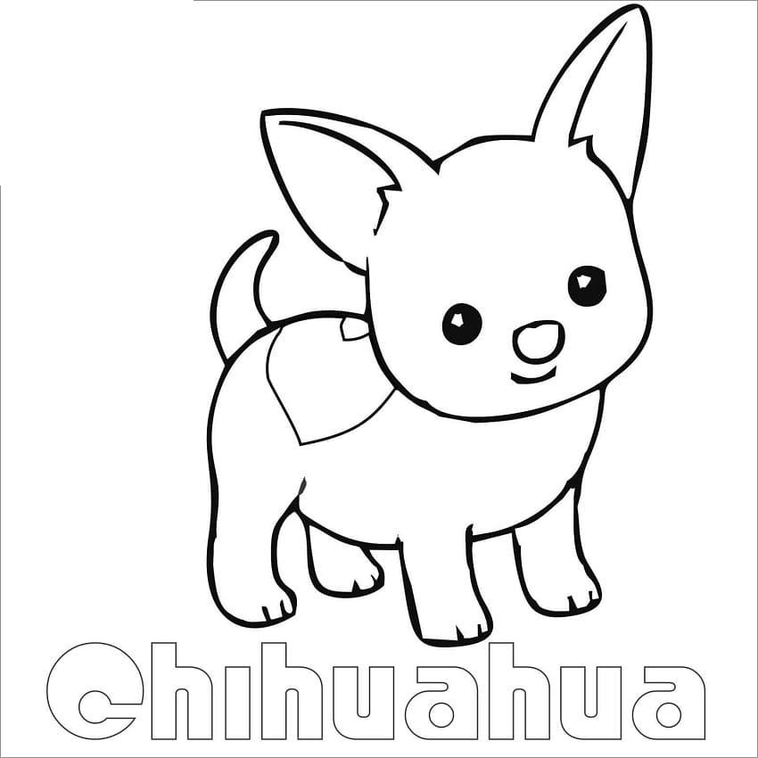 Cute Chihuahua Coloring Game Cute Chihuahua
