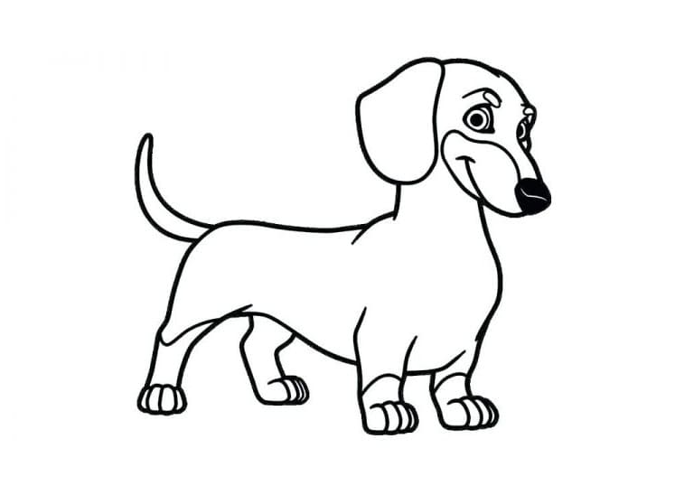 Cute Dachshund Coloring Game Cute Dachshund