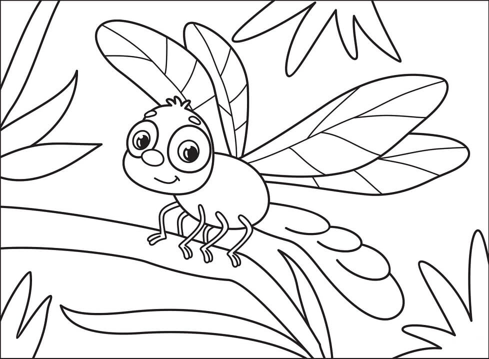 Cute Dragonfly Coloring Game Cute Dragonfly