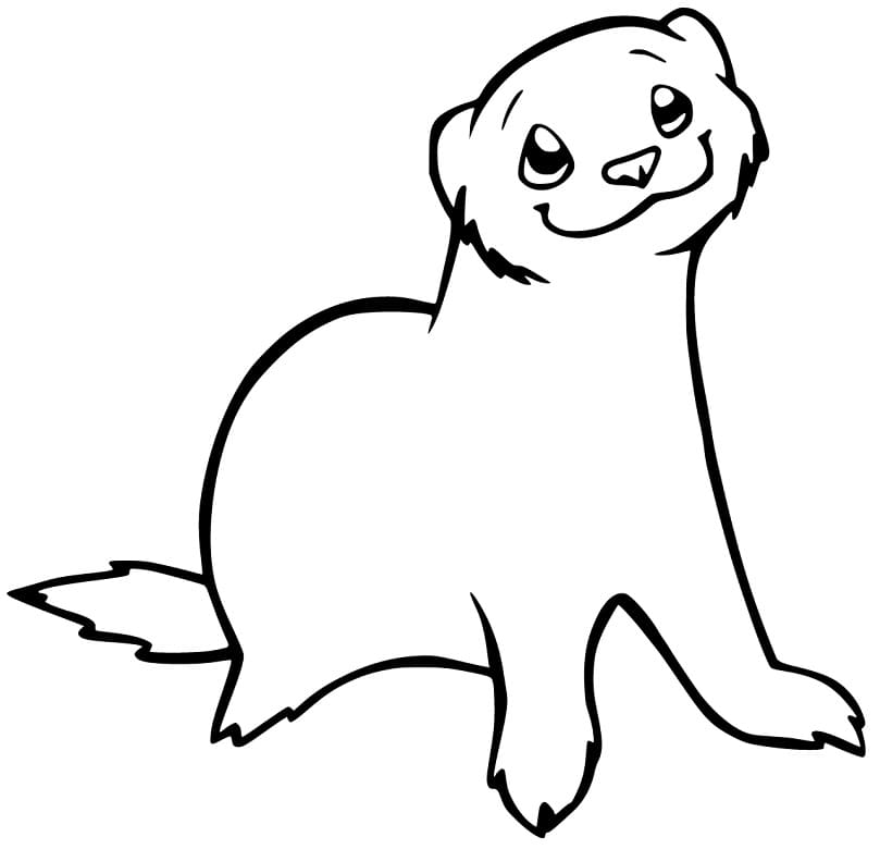 Cute Ferret Coloring Game Cute Ferret