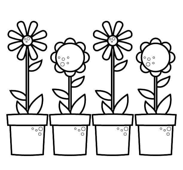 Cute Flower Pots