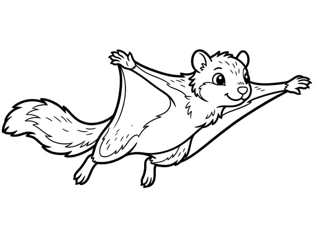 Cute Flying Squirrel
