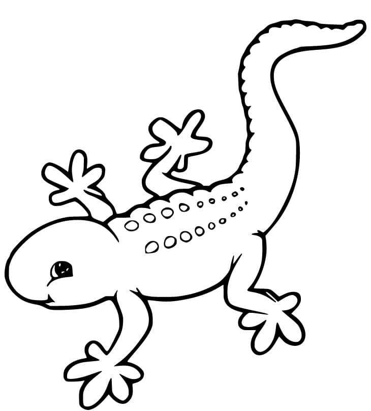 Cute Gecko Coloring Game Cute Gecko