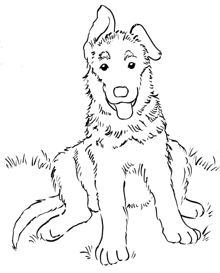 Cute German Shepherd Coloring Game Cute German Shepherd