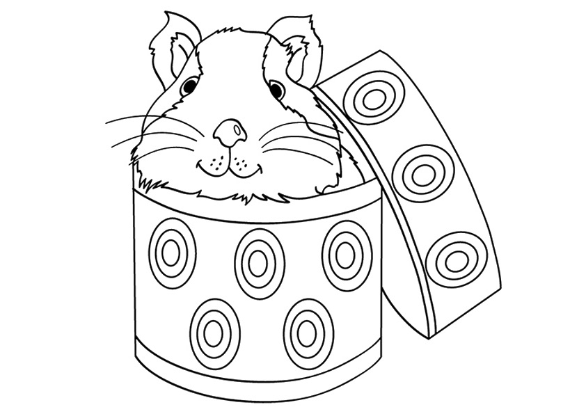 Cute Guinea Pig 1 Coloring Game Cute Guinea Pig 1