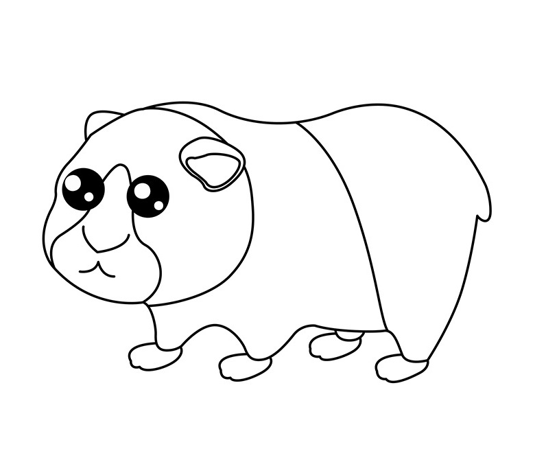 Cute Guinea Pig 2 Coloring Game Cute Guinea Pig 2
