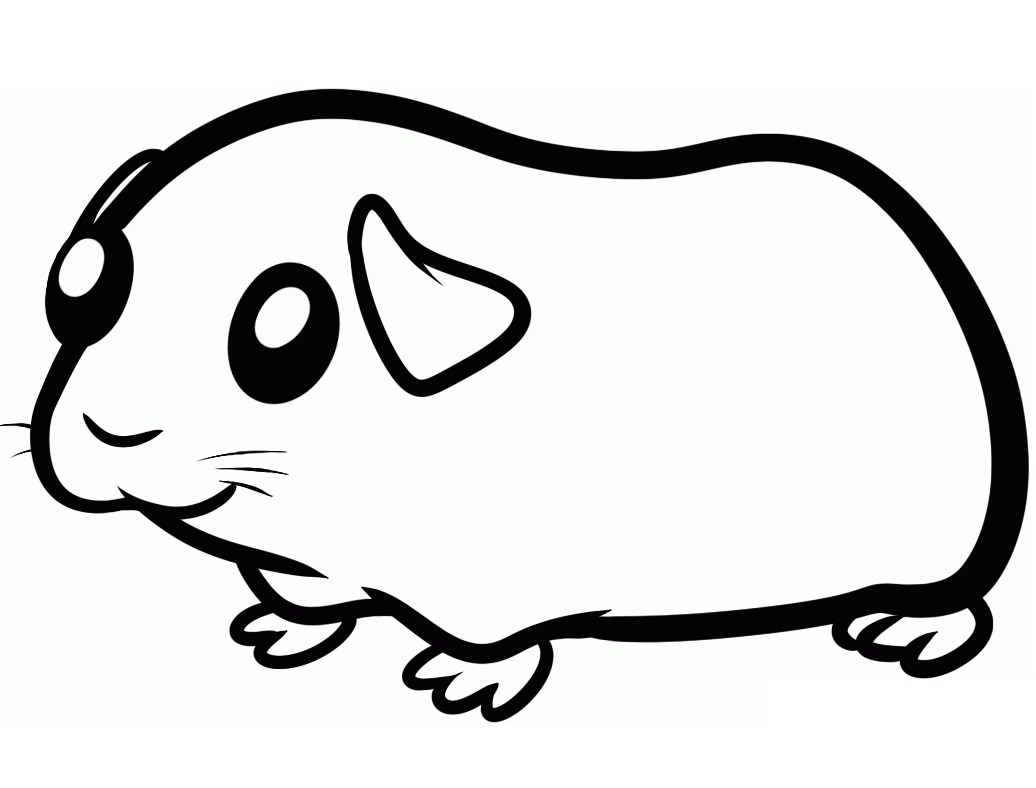 Cute Guinea Pig 3 Coloring Game Cute Guinea Pig 3