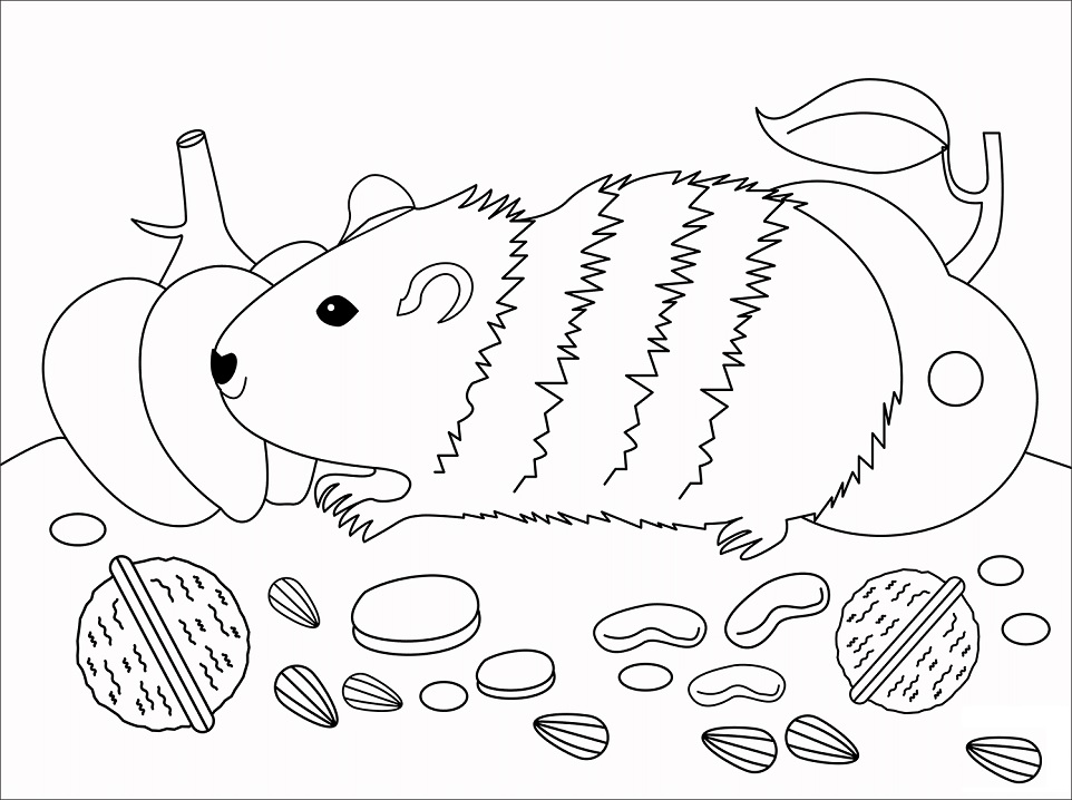 Cute Guinea Pig Coloring Game Cute Guinea Pig