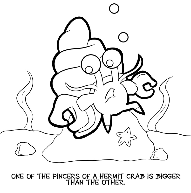 Cute Hermit Crab Under the Sea Coloring Game Cute Hermit Crab Under the Sea