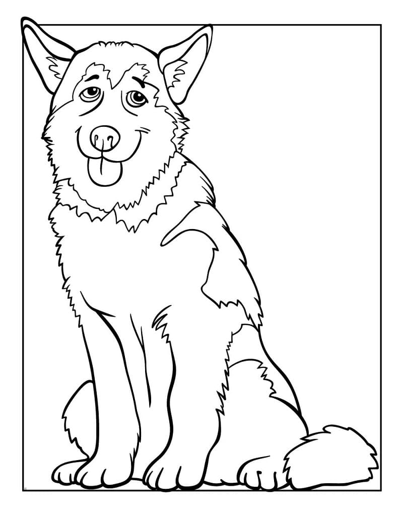 Cute Husky Coloring Game Cute Husky