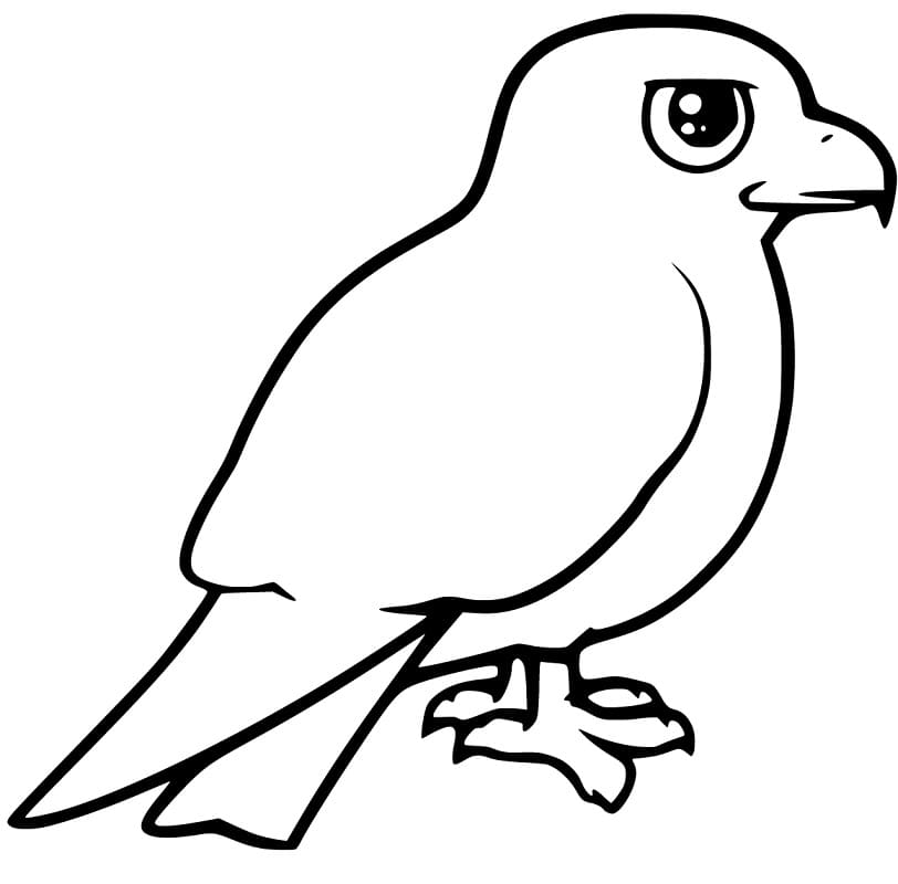 Cute Kite Bird Coloring Game Cute Kite Bird
