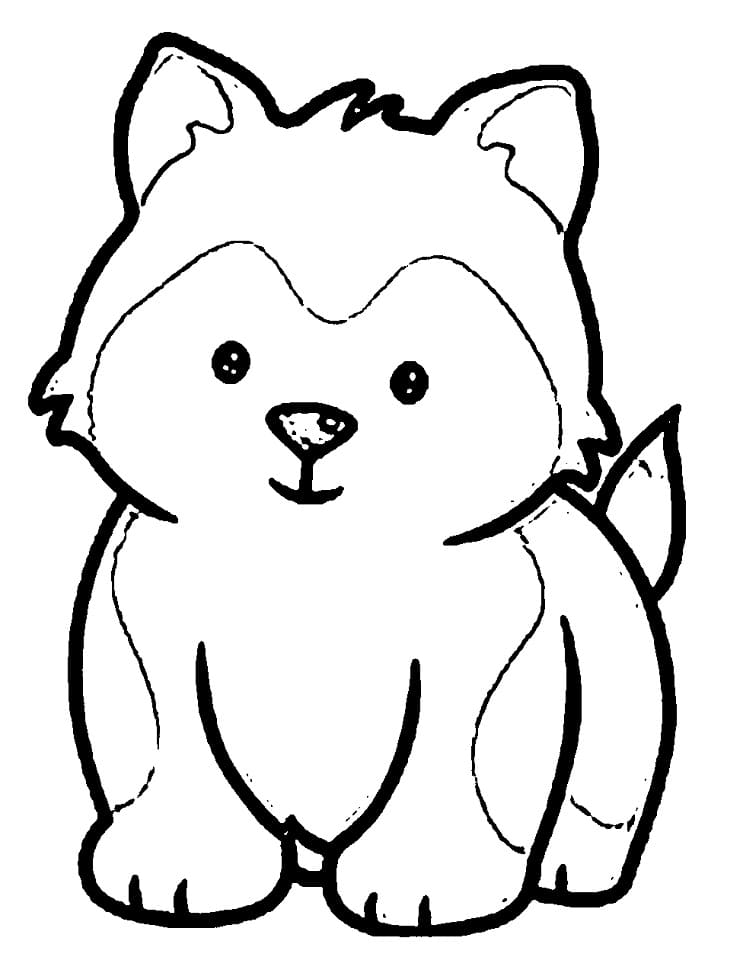 Cute Little Husky Coloring Game Cute Little Husky