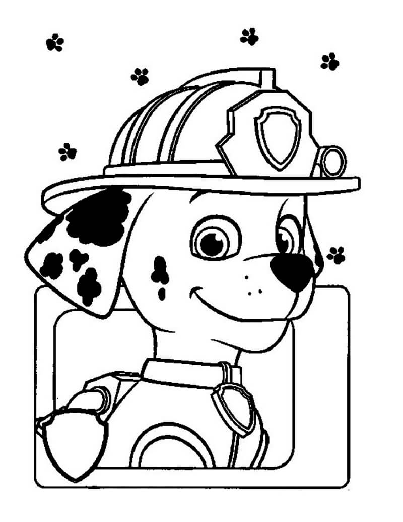 Cute Marshall Paw Patrol