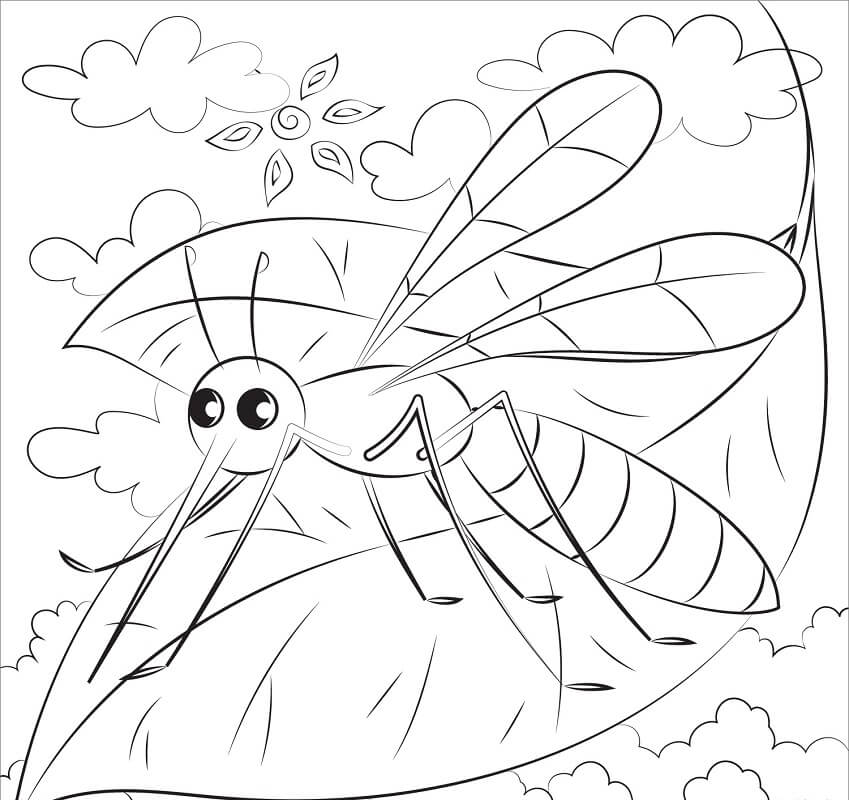 Cute Mosquito