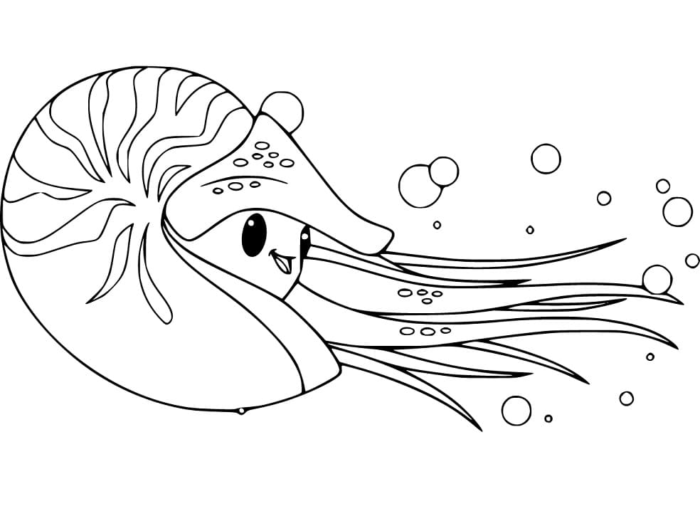 Cute Nautilus Coloring Game Cute Nautilus