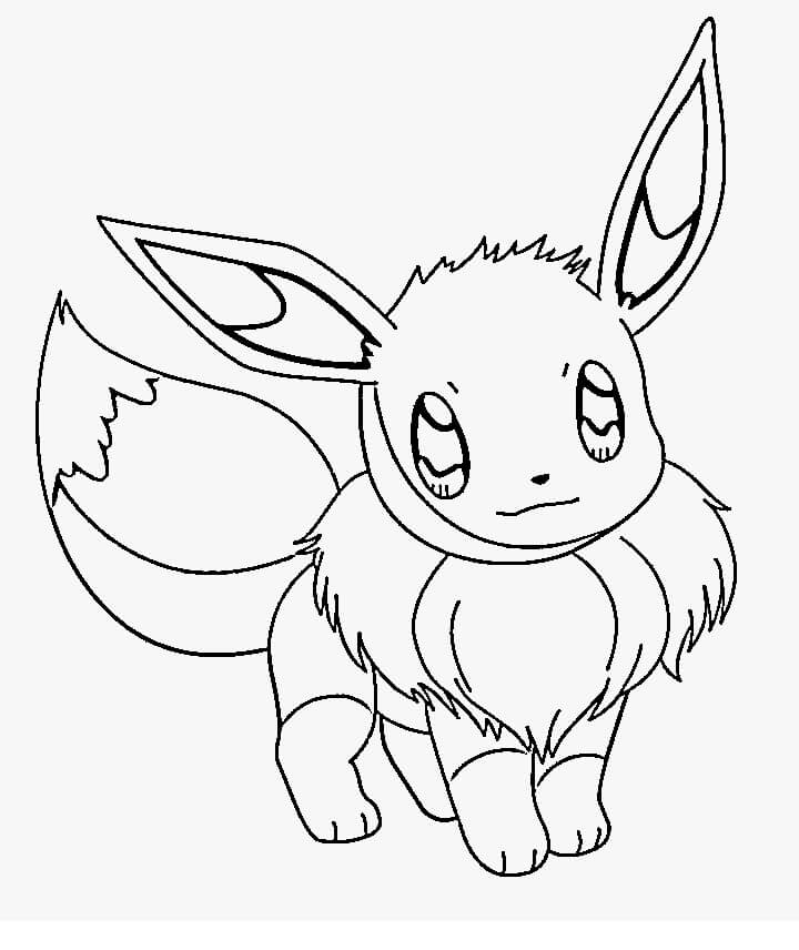 Cute Pokemon Eevee