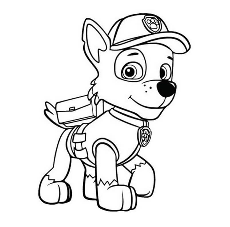 Cute Rocky Paw Patrol
