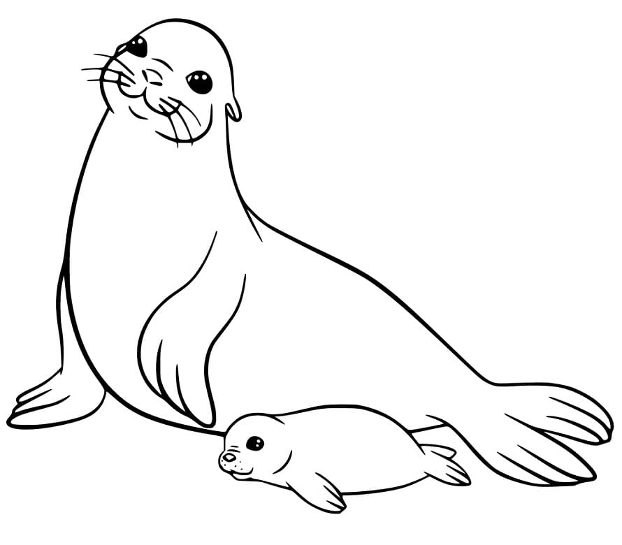 Cute Sea Lions Coloring Game Cute Sea Lions