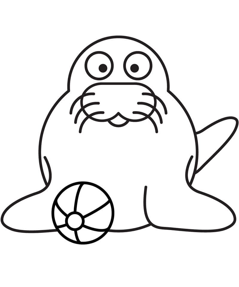 Cute Seal