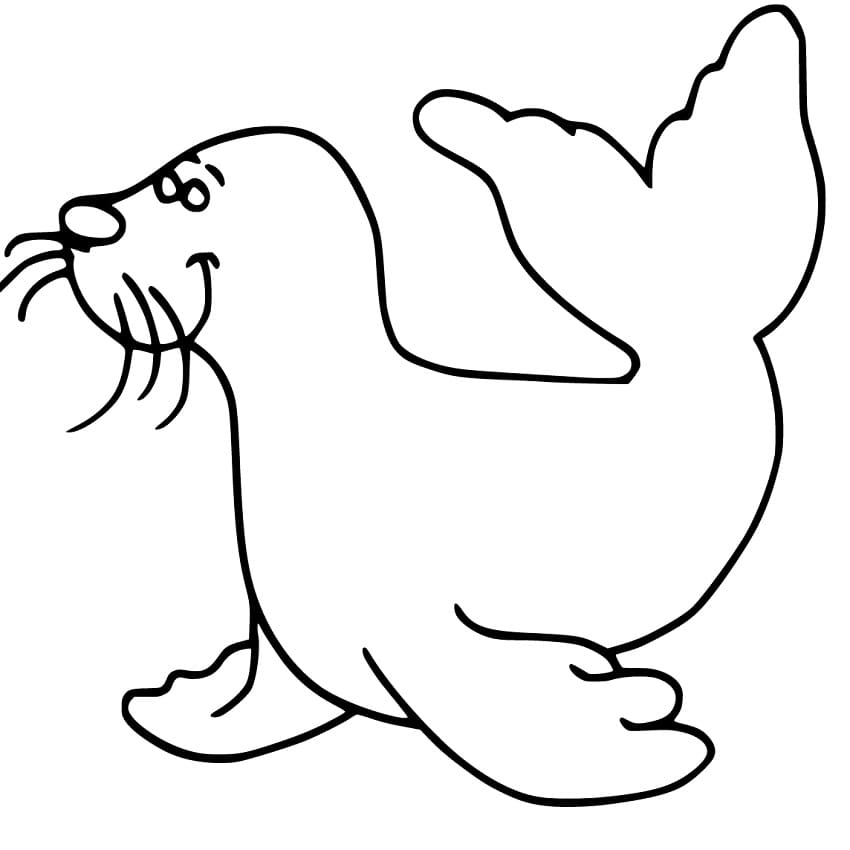 Cute Simple Sea Lion Coloring Game Cute Simple Sea Lion