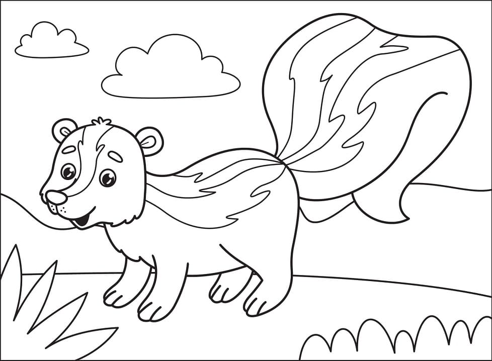 Cute Skunk Coloring Game Cute Skunk