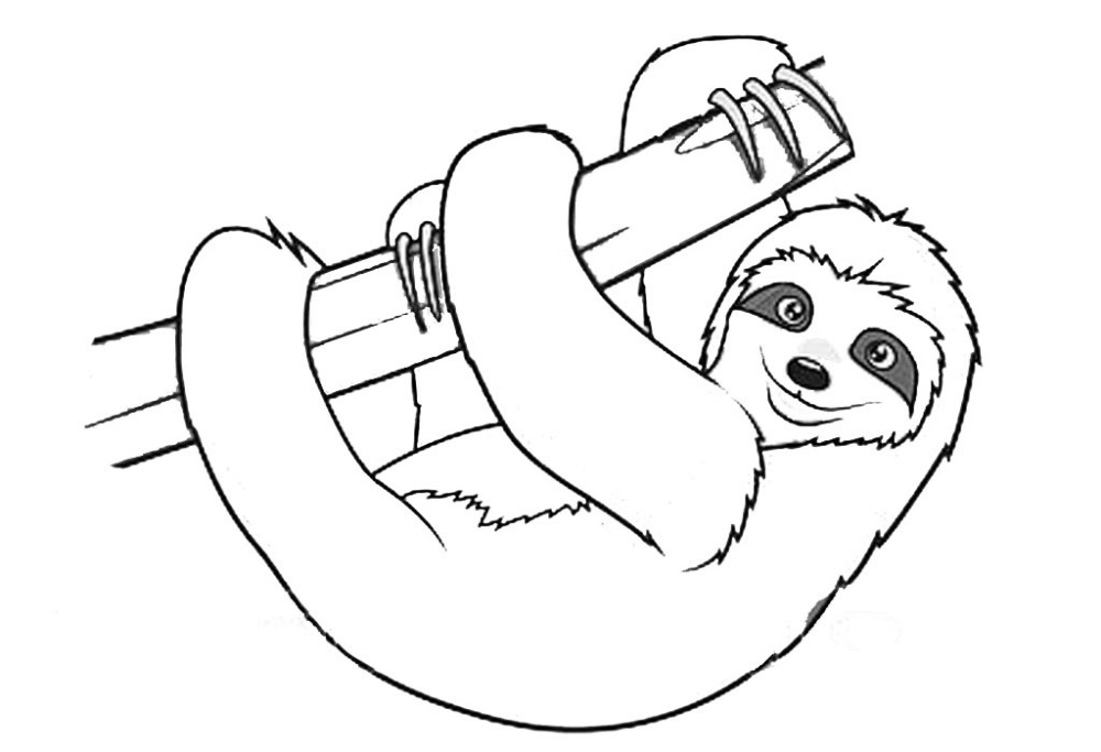 Cute Sloth Coloring Game Cute Sloth