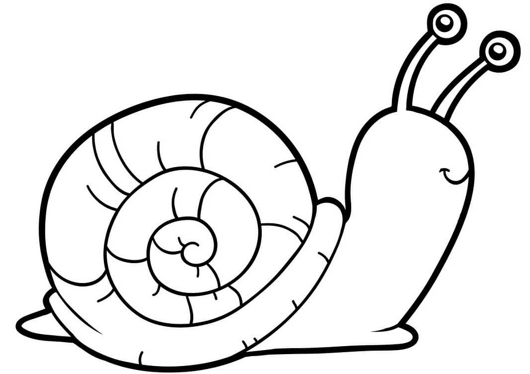 Cute Snail