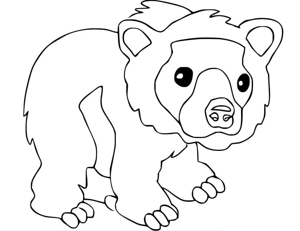 Cute Spectacled Bear Coloring Game Cute Spectacled Bear