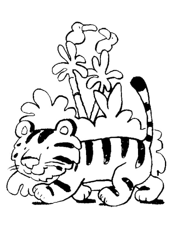 Cute Tiger Walking Coloring Game Cute Tiger Walking
