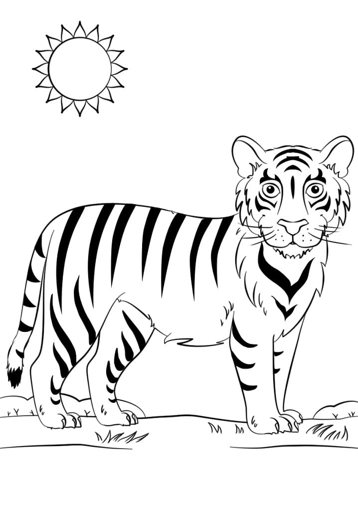 Cute Tiger on Grass Coloring Game Cute Tiger on Grass