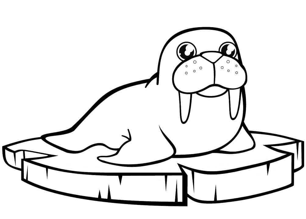 Cute Walrus on Ice Coloring Game Cute Walrus on Ice