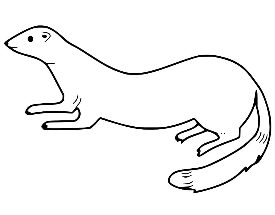Cute Weasel Coloring Game Cute Weasel