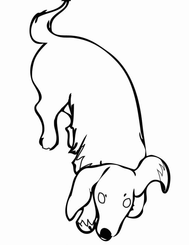Dachshund 1 Coloring Game Dachshund 1