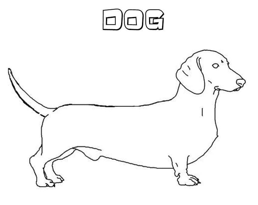 Dachshund Dog 1 Coloring Game Dachshund Dog 1