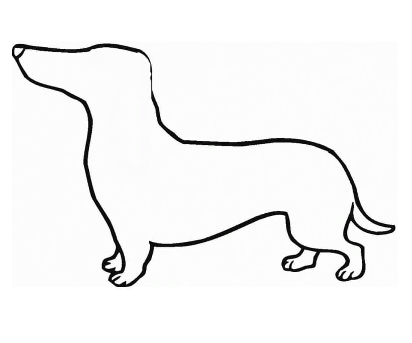 Dachshund Outline Coloring Game Dachshund Outline
