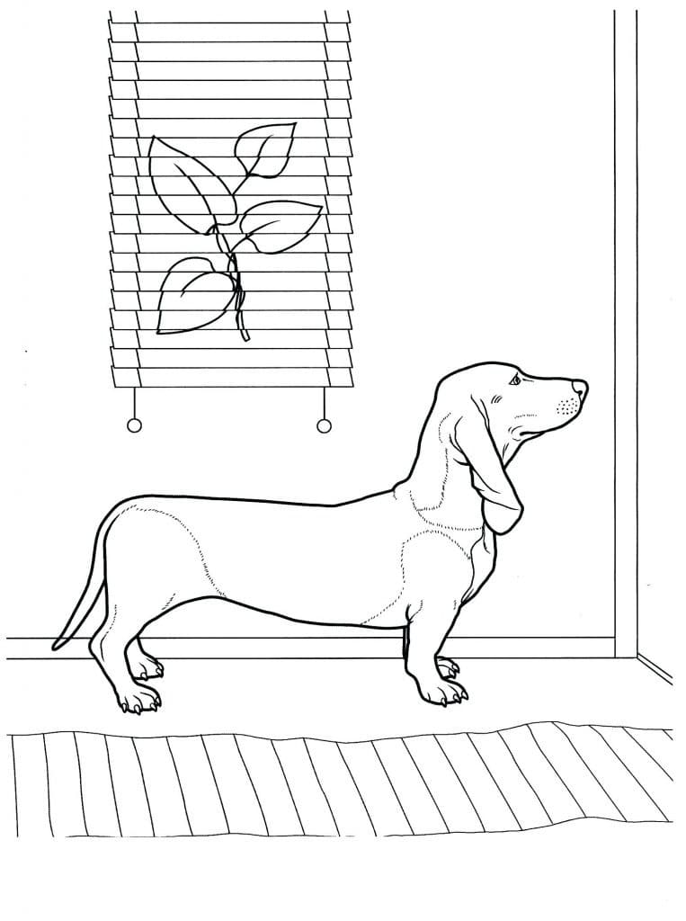 Dachshund Waiting at Door Coloring Game Dachshund Waiting at Door