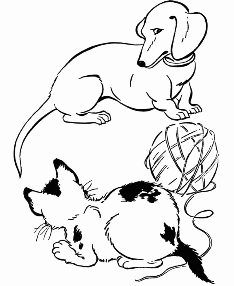 Dachshund and Cat Coloring Game Dachshund and Cat