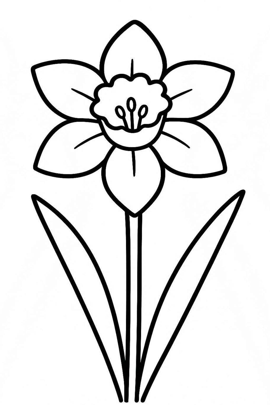 Daffodil Simple