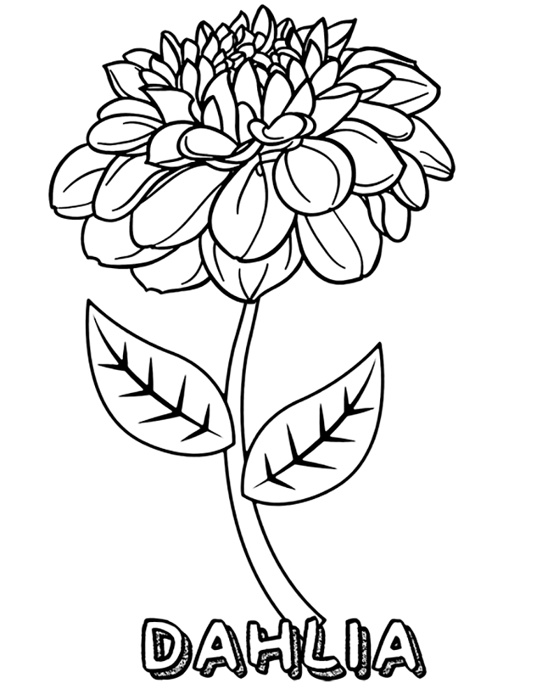 Dahlia Flower Coloring Game Dahlia Flower