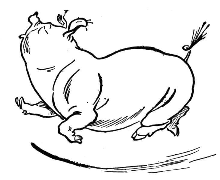 Dancing Pig Coloring Game Dancing Pig