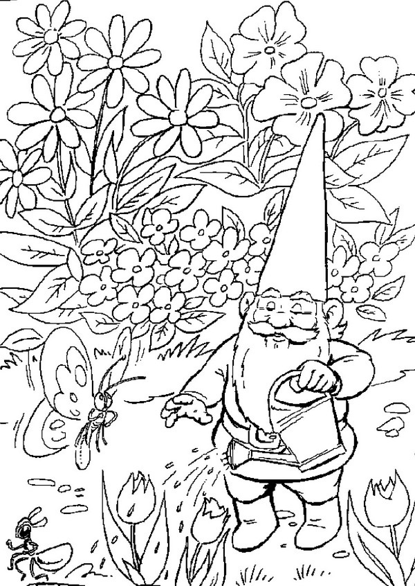 David the Gnome 2 Coloring - Play Free Coloring Game Online