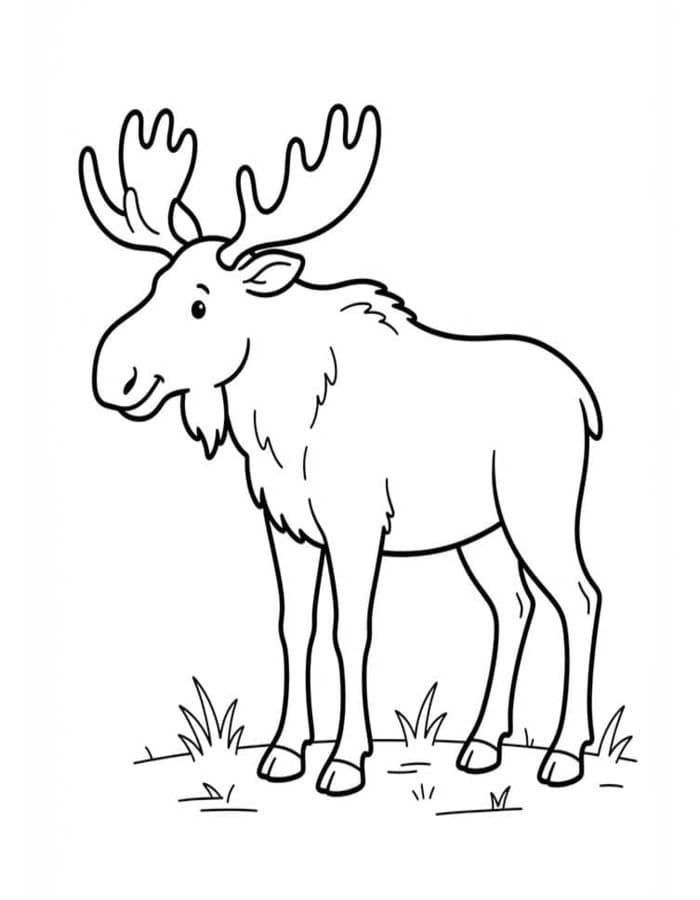 Deer Easy