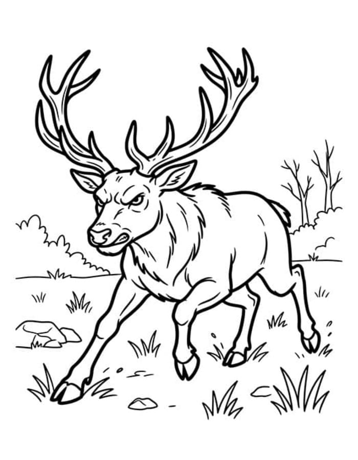 Deer Free